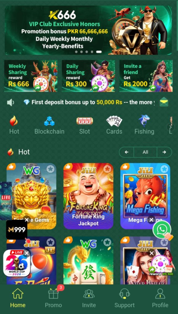 M999 interface image