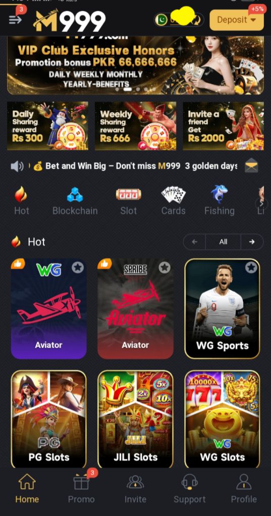 M999 interface image