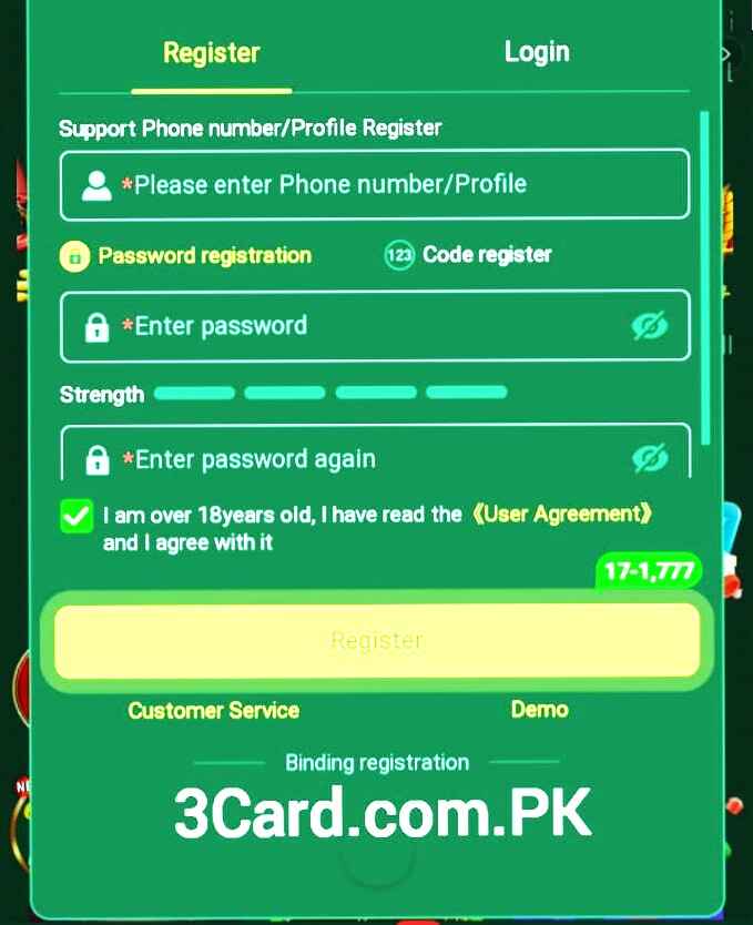 Win1313 register image