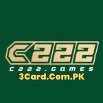 C222 game