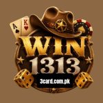 win1313 feature image