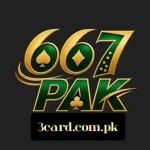 667Pak Game