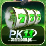 PK11 Game