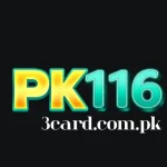 PK116 Game
